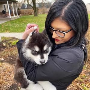 Meet your Posher, Layla